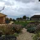 05-Blick-in-den-Garten